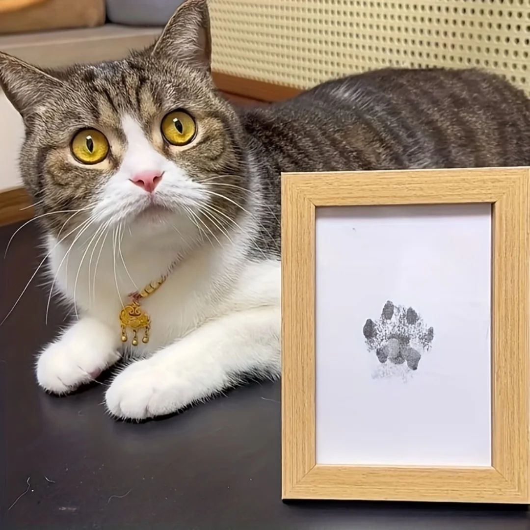 Mesa de impresión de huella de pie, marco de fotos gratis, Pet, conmemorativo, no táctil, almohadilla de tinta de aceite para arte - imagen 2