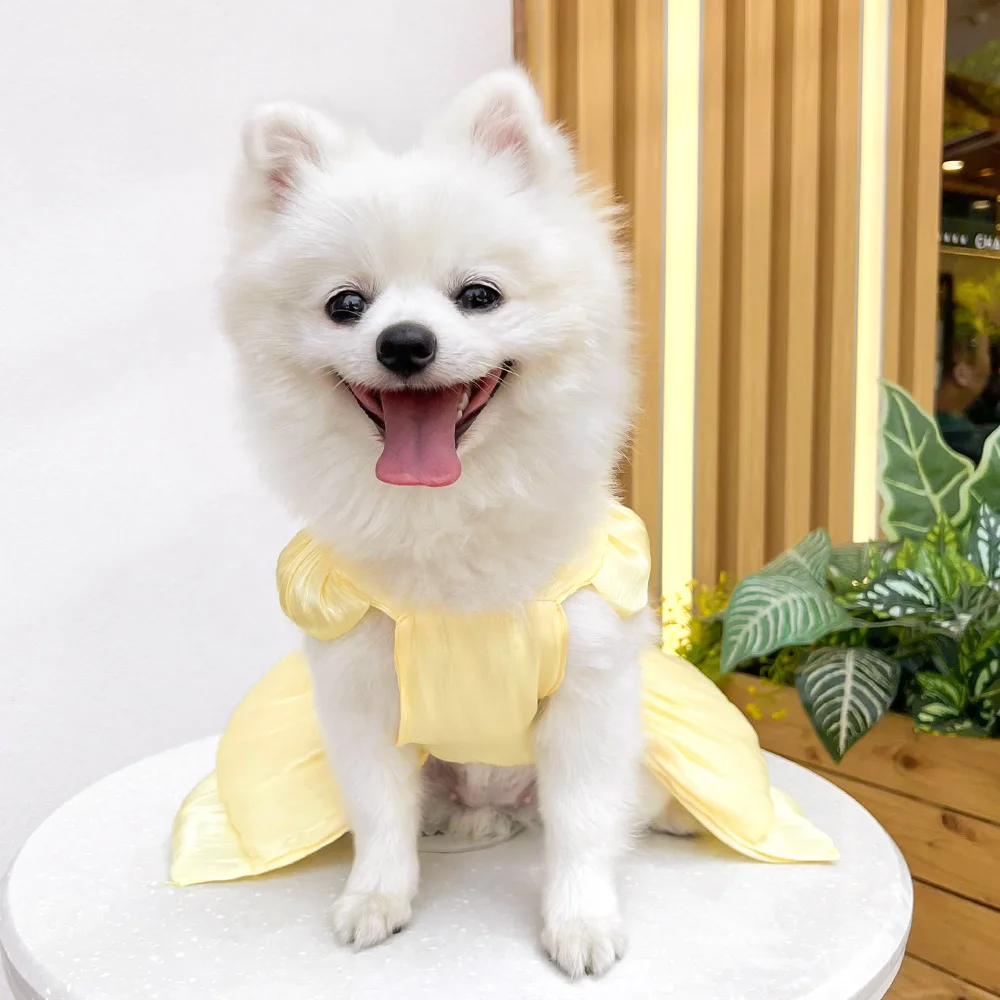 Vestidos para perros y gatos de Color sólido con anillo en D para perros pequeños Chihuahua Pomerania cachorro ropa de verano para mascotas vestidos para perritas - imagen 5
