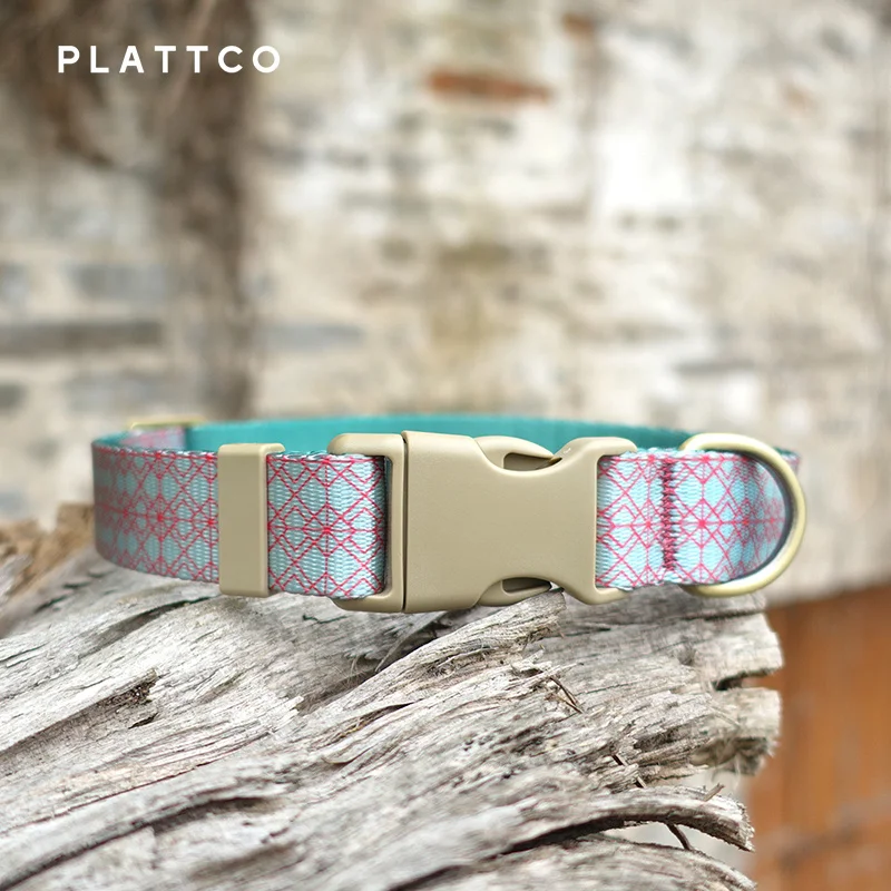 PLATTCO-Collar de nailon ajustable para perro y gato pequeño, accesorio para mascotas, suave, cómodo y duradero, suministros para cachorros, Aqua Glaze - imagen 2