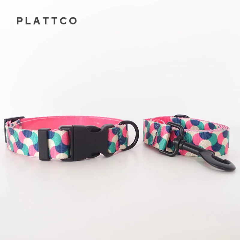 Dog Collar Leash Set