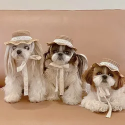 Gorra solar para perro pequeño - Protección UV