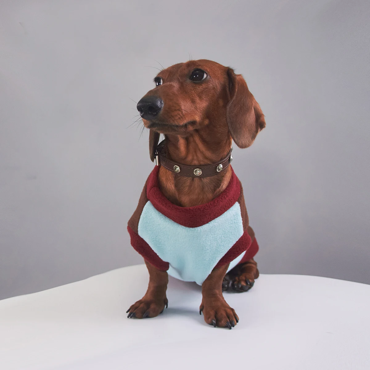 Sudadera de lana cálida de invierno para perros Wiener, chaleco de moda grueso de manga corta suave para perros salchicha, ropa para perros tejón - imagen 5