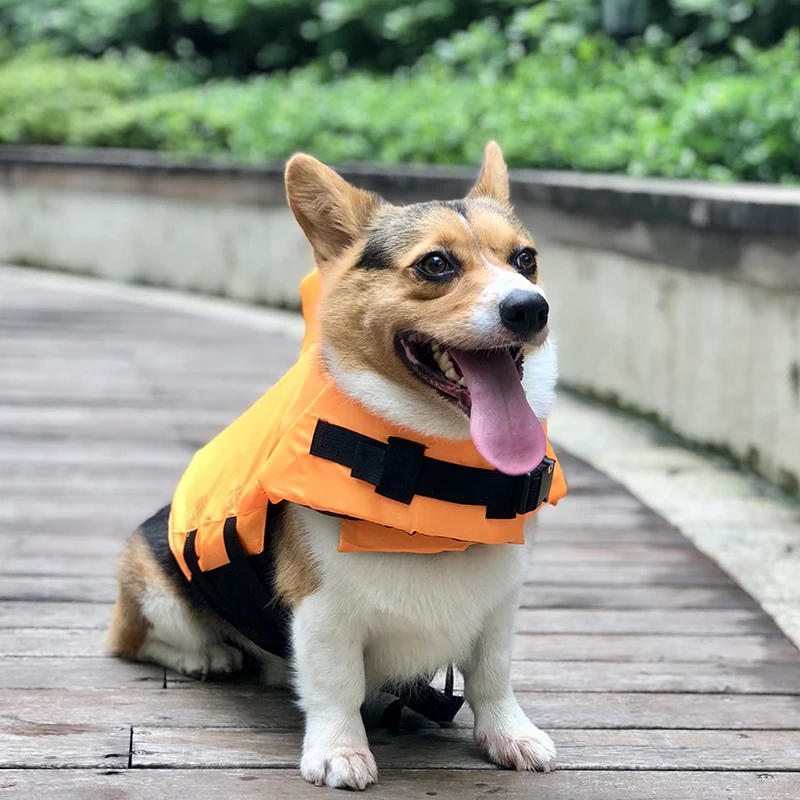 Chaleco salvavidas de verano para mascotas, chaqueta, traje de baño ajustable para perros con mango de rescate para perros pequeños y medianos, ropa de seguridad Ripstop Corgi - imagen 4