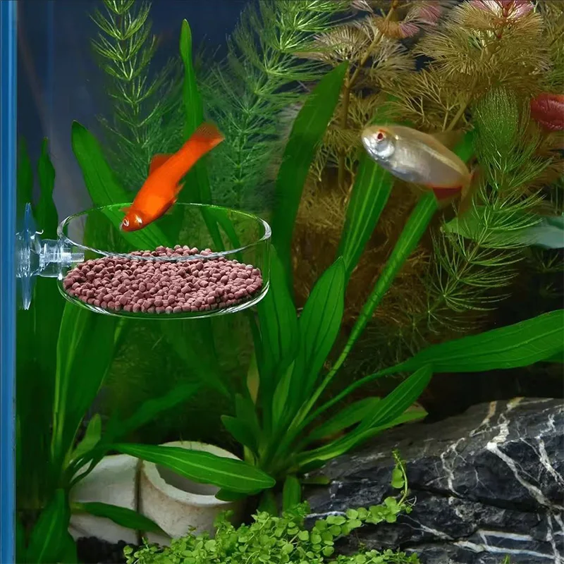 Alimentador de peces transparente acrílico con ventosa, platos redondos de comida para acuario, accesorios de alimentación para peces y camarones - imagen 5