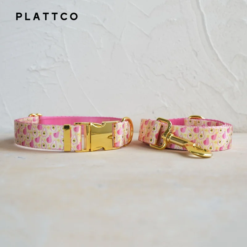 Dog Collar Leash Set