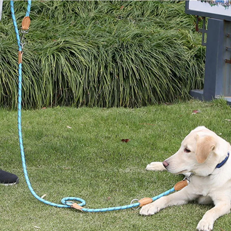 Arnés con correas para perro, correa doble para andador, manos libres, cadena multifuncional para caminar, accesorios para mascotas - imagen 4
