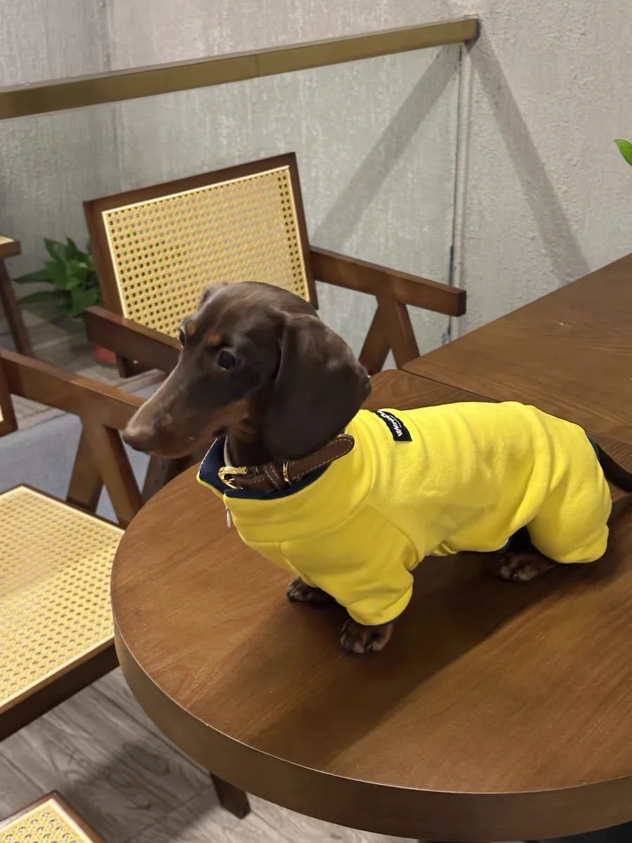 Moda Primavera Invierno Cachemira para perro Wiener camiseta interior amarilla de manga larga para perro Wiener ropa de descanso de otoño para perro tejón - imagen 5