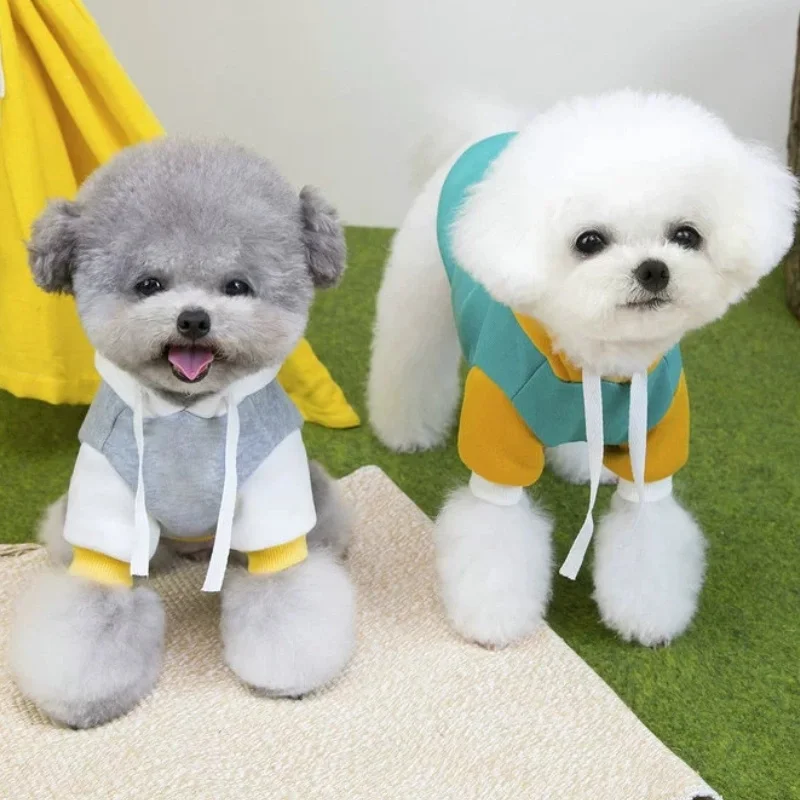 Sudaderas con capucha con estampado de letras para perros, ropa cálida y suave para perros, jerséis bonitos para cachorros, sudaderas de lujo para gatos, sudaderas con capucha para mascotas, disfraz de Bichon - imagen 3