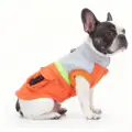 orange gray