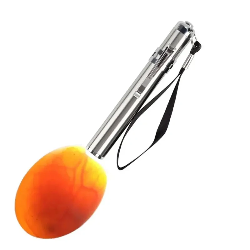 Lámpara LED probador de huevos para gallina, codorniz y canario - imagen 5