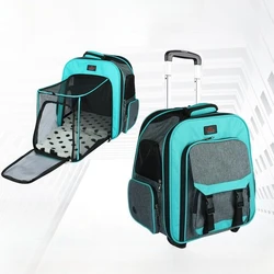Transportín transparente 2 en 1 para gatos y perros pequeños