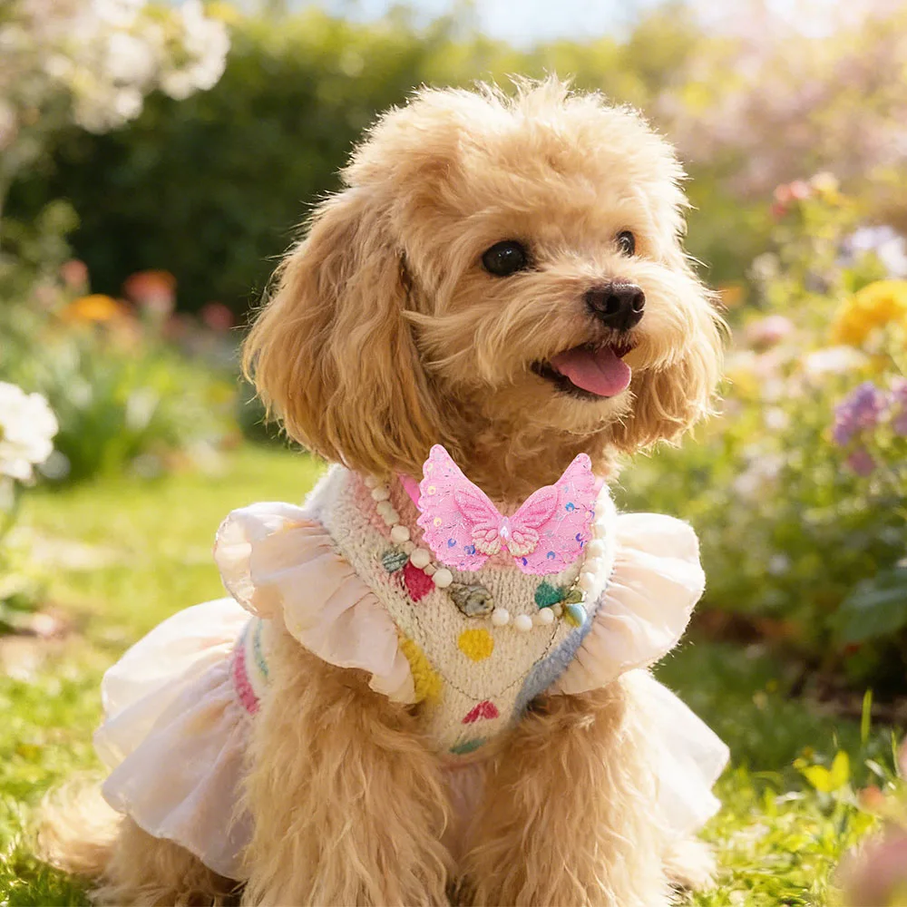 Lazos y corbatas para perros y gatos – Collares ajustables con forma de mariposa