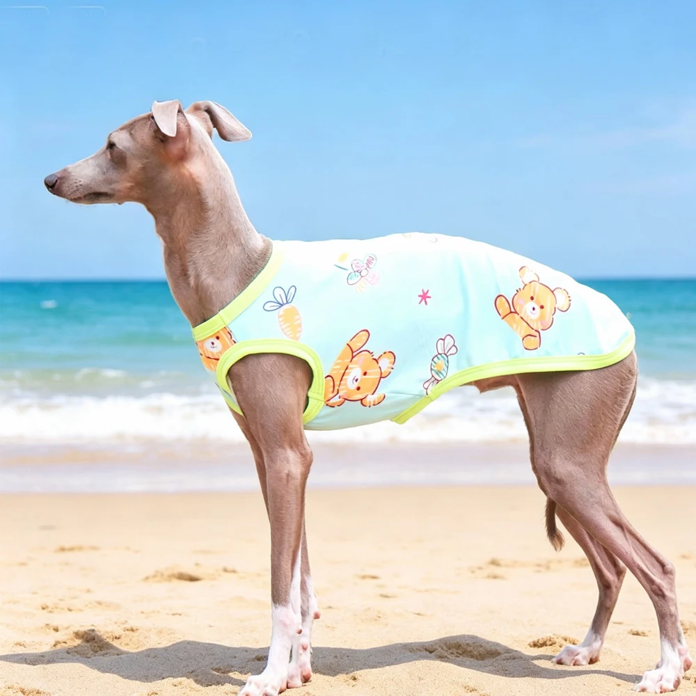 Chaleco de algodón con protección solar para Galgo y Whippet - imagen 3