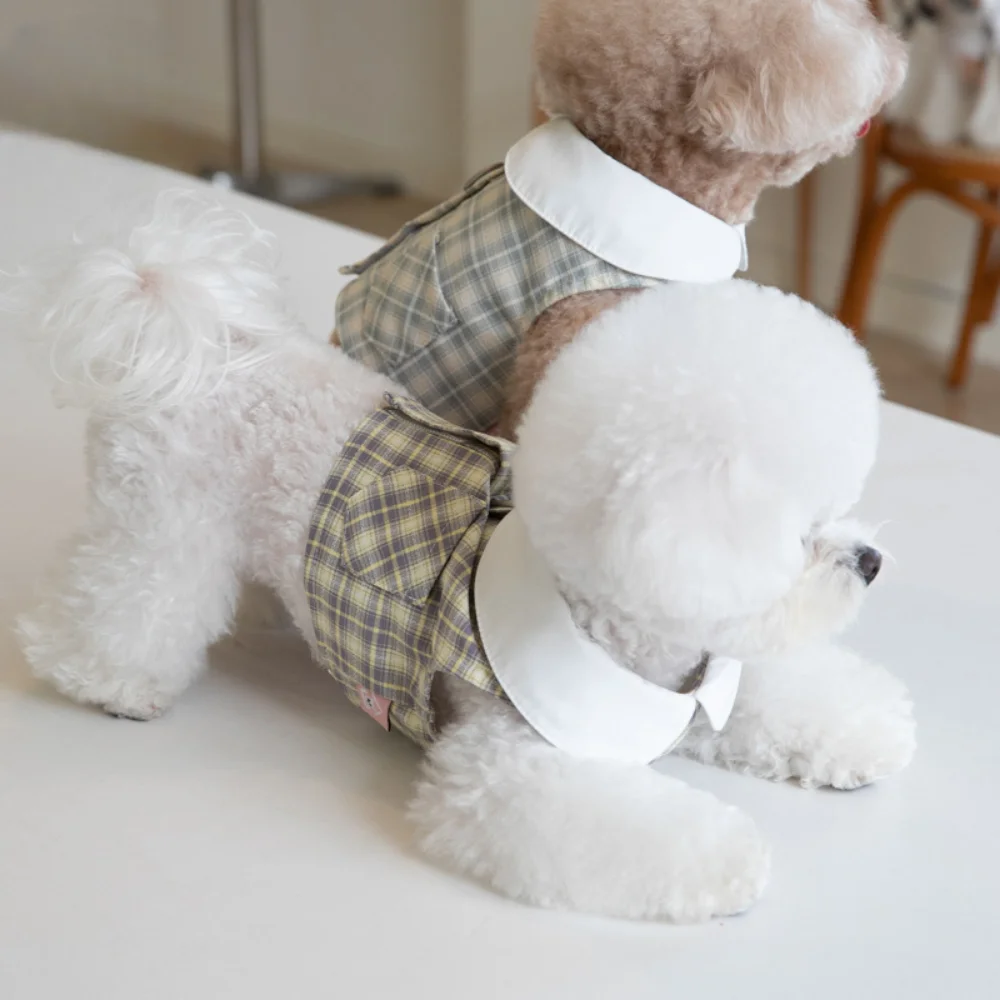 Falda para perro con correa para el pecho a cuadros de primavera, Falda corta de peluche Bichon con lazo de tulipán, conjunto de arnés y correa para perro, accesorios para perros - imagen 3