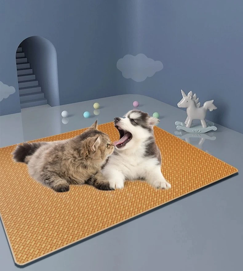 9c623e89-958f-4be7-9c55-c0812bfa545b.jpe