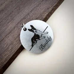 Placa identificativa acero inoxidable mate para perros y gatos