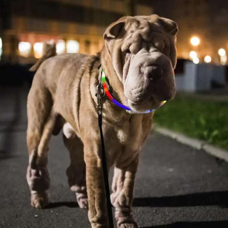 Collar de seguridad con luz Led para perro, Collar de TPU recargable por USB para mascotas, Collar de seguridad reutilizable para perros grandes, medianos y pequeños - imagen 5
