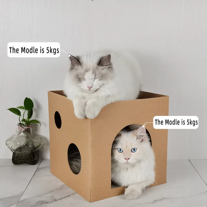 Rascador de cartón con casa para gatos - imagen 5