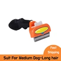 Dog M-long hair