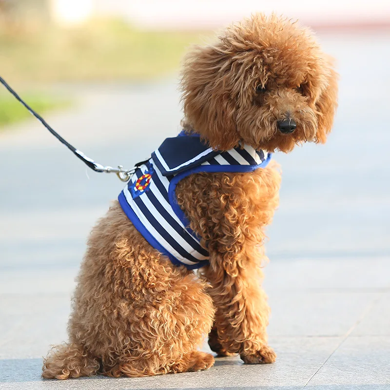 Ropa de perro estilo marino con correas de cuero, chaleco suave para caminar al aire libre, collar de peluche Pomerania, correa para perro, cadena para cachorro, perro pequeño - imagen 3
