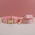 Dog Collar Leash Set