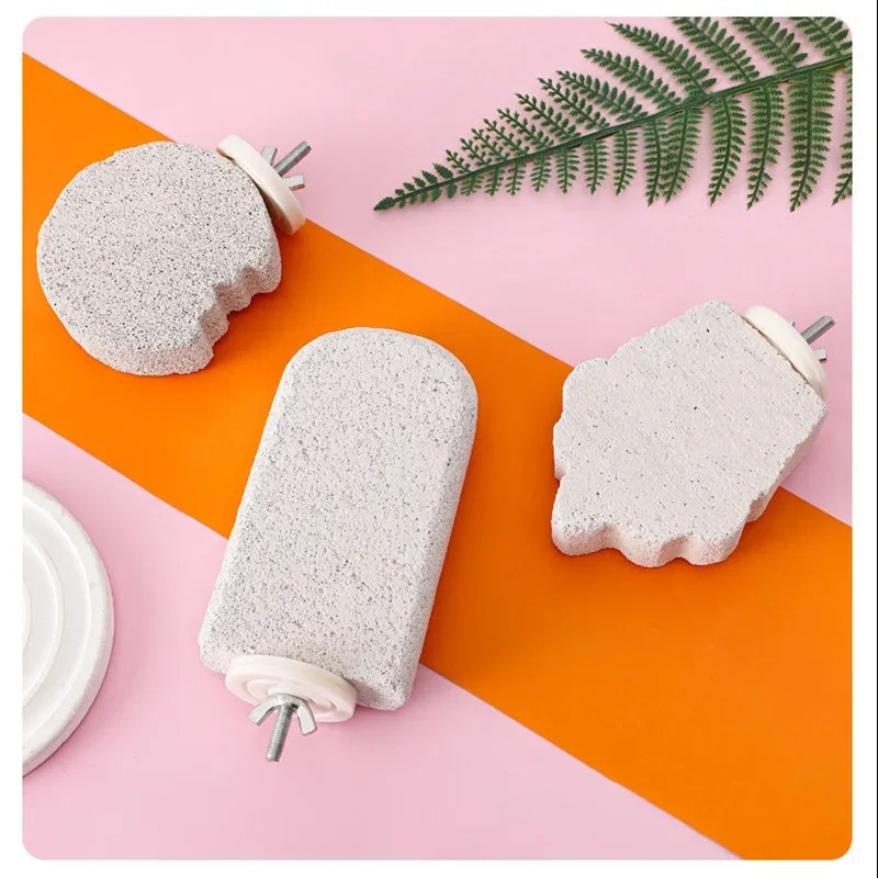 Varilla de estación para loros, suministros para pájaros, estante de estación exfoliante, varilla de garra para rechinar dientes, accesorios para pájaros, 1 ud. - imagen 5