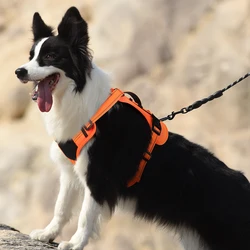 Chaleco táctico reflectante para perros – Arnés duradero