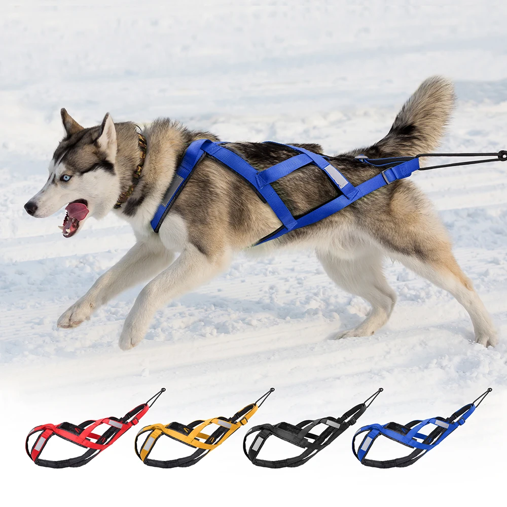 Arnés de trineo para perros, chaleco reflectante de peso para mascotas, arnés de trineo para perros medianos y grandes, Husky Canicross Skijoring Scootering