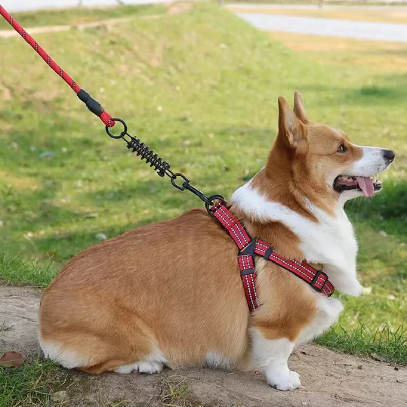Correa reflectante de nailon para perros grandes, correa de resorte fuerte para caminar, correa de acero inoxidable, suministros para mascotas - imagen 2