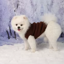 Jersey de punto para perros pequeños y gatos con cuello alto