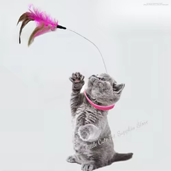 Varita silicona interactiva para gatos collar de plumas ajustable