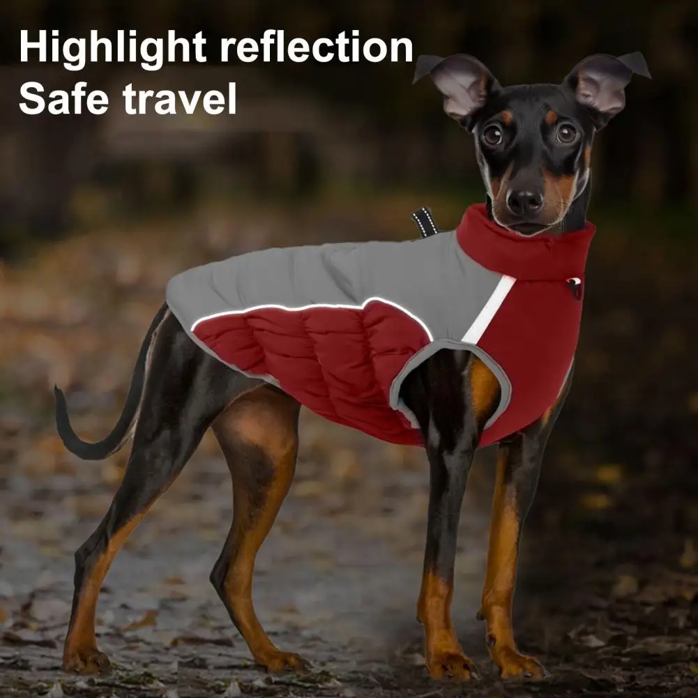 Abrigo reflectante de invierno para perro, chaqueta de cuello alto de 2 patas, impermeable, protección contra la nieve, cremallera suave, Parkas para mascotas - imagen 5