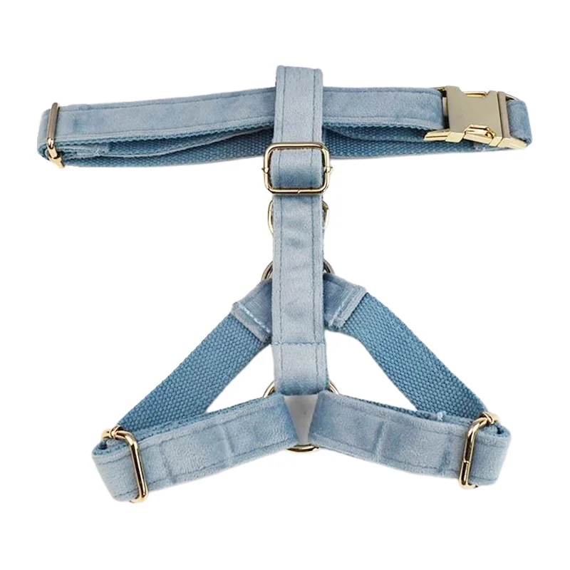 Harness