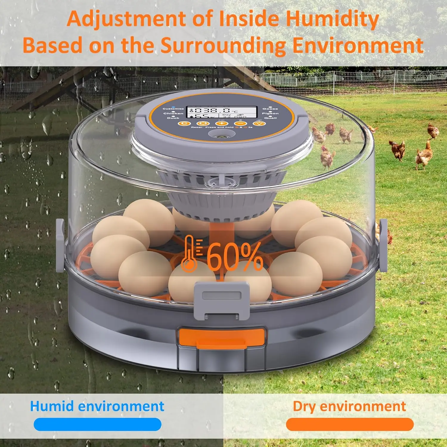 Incubadora automática para huevos con giro y control de humedad