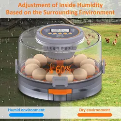 Incubadora automática para huevos con giro y control de humedad