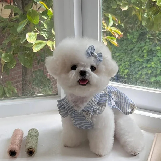 Chaleco transpirable rayado para perros pequeños y gatos - imagen 3