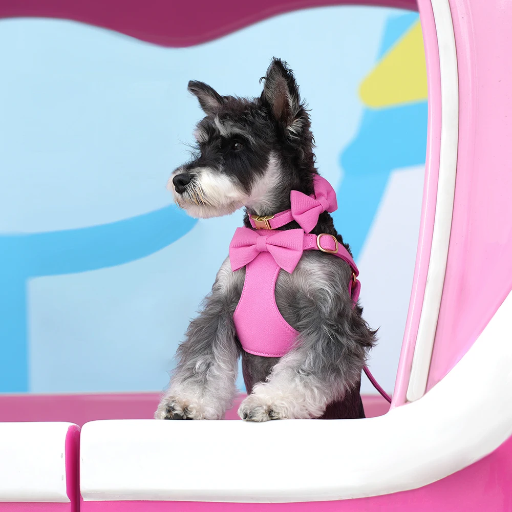 Collar de nailon para perro, conjunto de correa con bonito pajarita, Collar para perro, bolsa para caca de cachorro, chaleco con arnés suave para perros pequeños y medianos, 5 colores - imagen 5