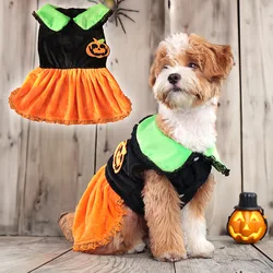 Disfraz Halloween con alas para perro – Traje fiesta