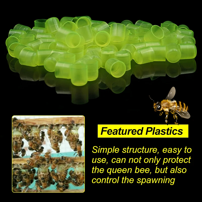 1 Juego de jaulas de apicultura, sistema de cría King Queen, caja receptora de abejas de plástico, vasos celulares, Kit completo, suministros de herramientas de Apicultura - imagen 3