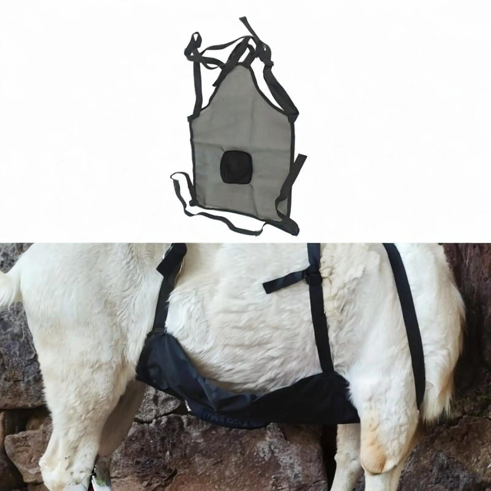 Anti Breeding Goats Apron Livestock Mating Apron for Bucks Dwarf Goats Sheep