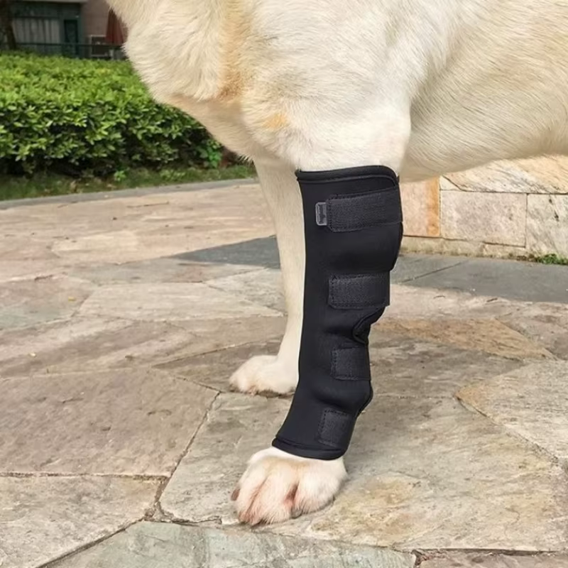 Soporte de rodilla para perros y gatos – Recuperación articular - imagen 2