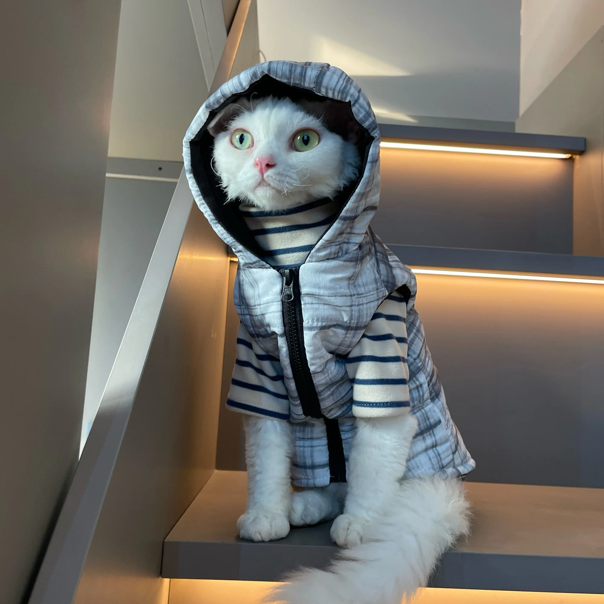Chaqueta gris a rayas con capucha y cremallera para gato esfinge en invierno, abrigo cálido sin mangas para Devon Rex, traje suave para gatitos - imagen 2