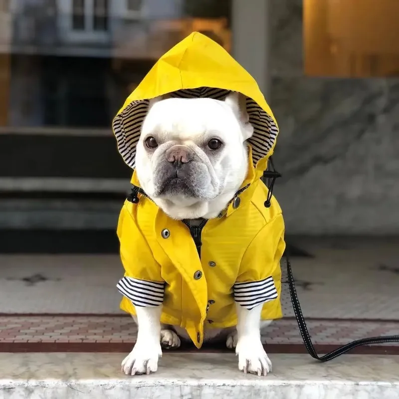 Chubasquero de moda para perros, impermeable, chaqueta, abrigo a prueba de viento para perros pequeños, medianos y grandes, ropa de moda para mascotas
