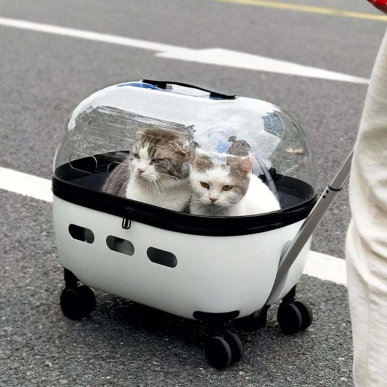 Cat Carrier with Rolling Wheels Dog Stroller for Cats Small Pets Outdoor