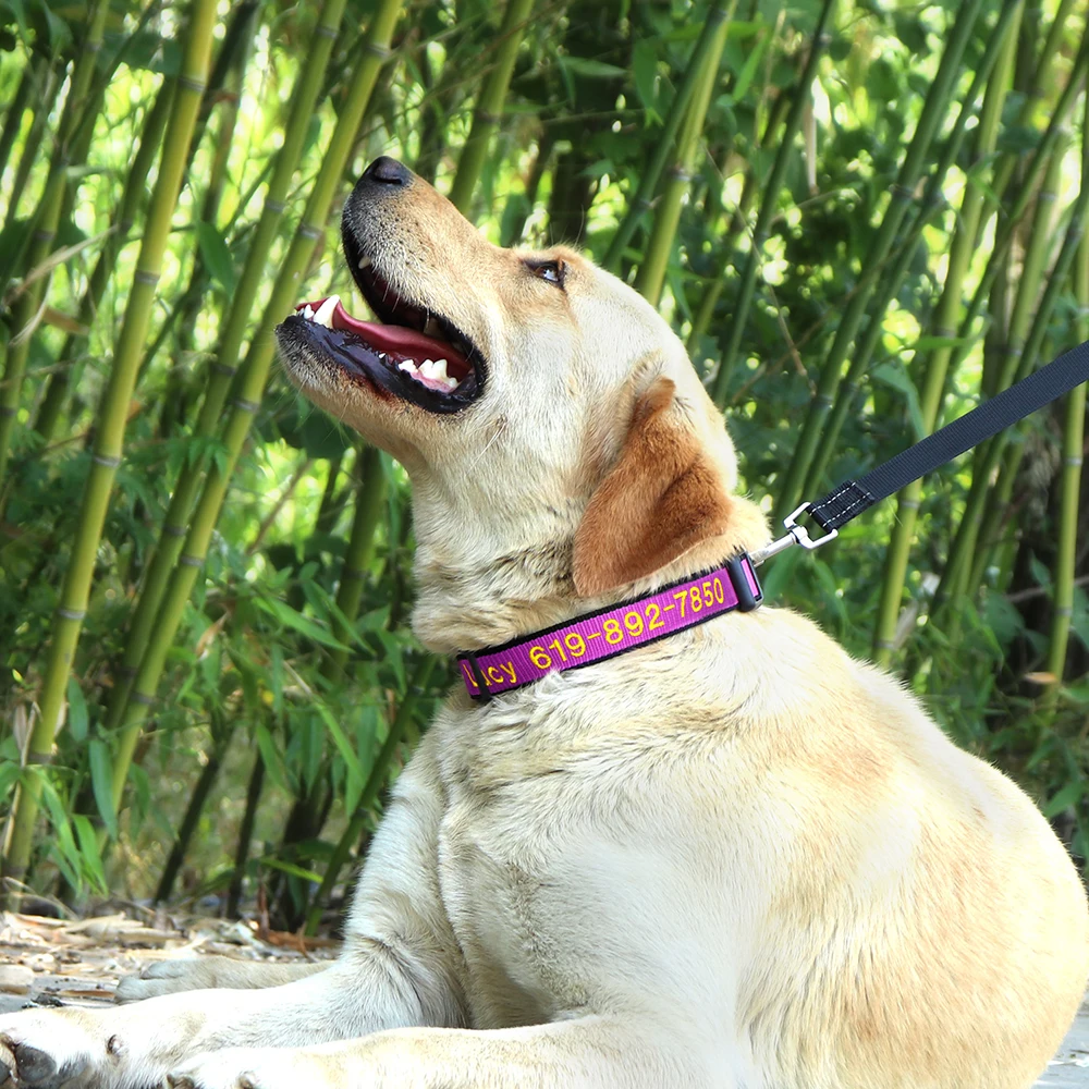 Collar personalizado para perros grandes, Collar bordado para mascotas, proveedor ajustable para perros pequeños, medianos y grandes - imagen 5