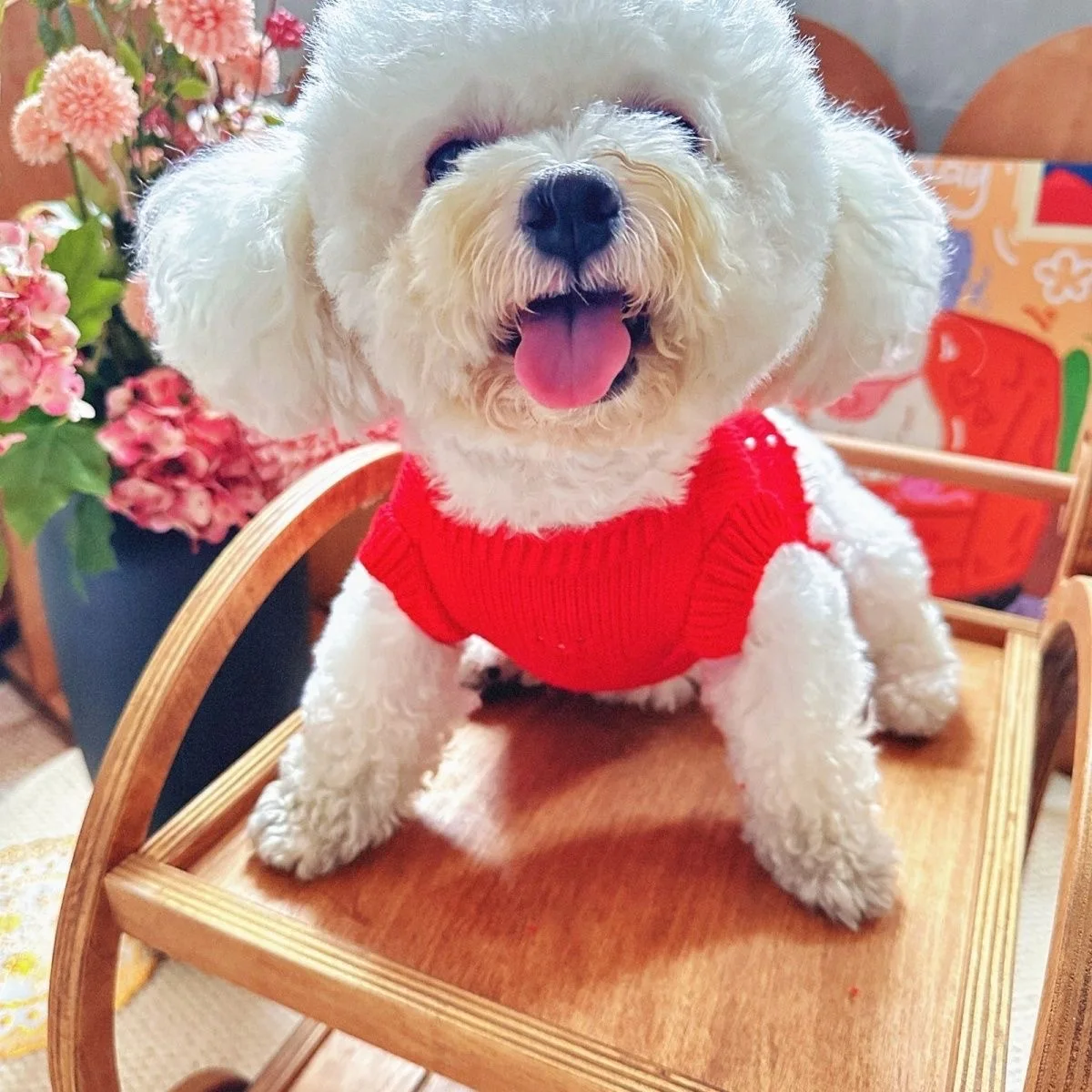 Chaleco rojo tejido de Año Nuevo para mascotas, suéter de Navidad para mascotas, abrigo de peluche cálido, ropa para perros pequeños, ropa para cachorros - imagen 2