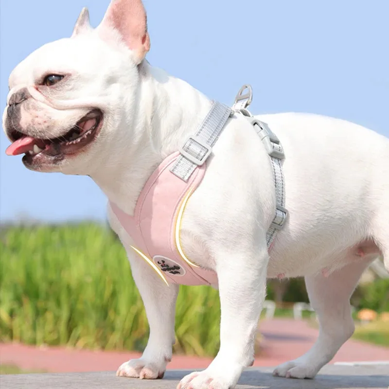 Arnés Ajustable con Correa Reflectante para Perros y Gatos - imagen 5