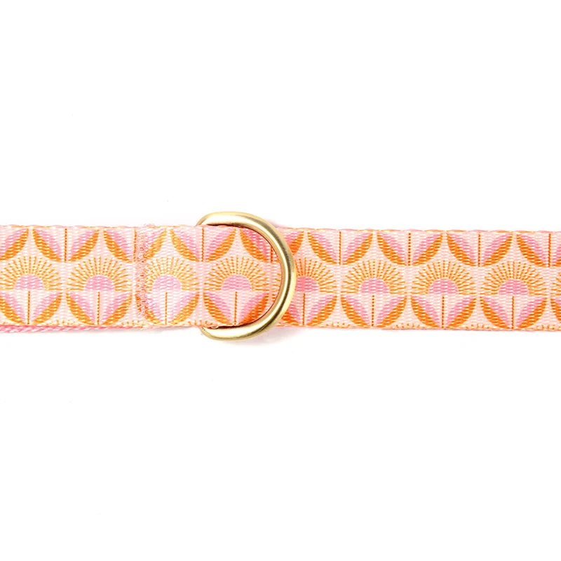 Correa de nailon para perro, correa de nailon para perro, correa de plomo para cachorros, perros medianos y grandes, protección de seguridad, correa de flores para el amanecer PDL350 - imagen 3