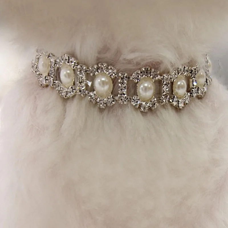 Collar Diamantes Perros - Vista principal del producto
