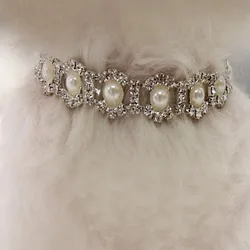 Collar decorativo con piedras para perros – Elegante y resistente